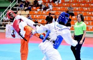 Pelea de Taekwondo.