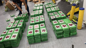 Ocupan 400 paquetes de cocaína camuflados en carga de guineos en Caucedo