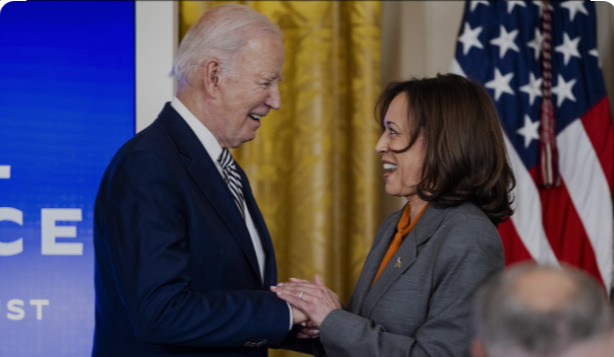 ¿Cómo es el proceso para elegir al sucesor o sucesora de Biden?