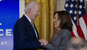 ¿Cómo es el proceso para elegir al sucesor o sucesora de Biden?