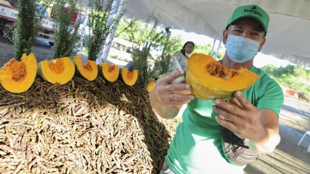 Venta de alimentos.