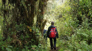 Día Mundial de los Guardas Forestales