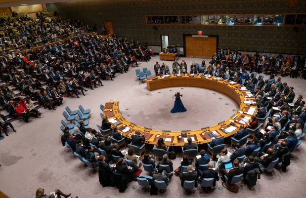 Vista general del pleno del Consejo de Seguridad. 
