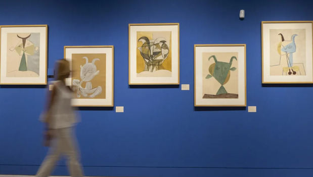 Conjunto de litografías sobre el Fauno en papel Vélin D´Arches que forman parte de la exposición 'La presencia de Picasso.