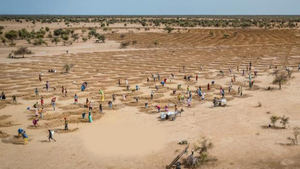 El cambio climático volvió a batir récords por tierra, mar y aire en 2021