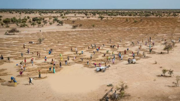 Las comunidades agrícolas de Senegal restauran tierras degradadas para contrarrestar los efectos del cambio climático.