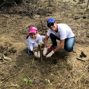 Empleados de grupo Familia siembran mil árboles el Parque Mirador Oeste