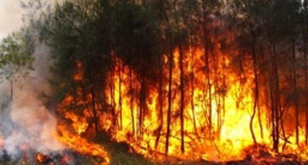 Bomberos trabajan en extinguir incendio en Parque Nacional Sierra de Bahoruco