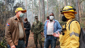 Controlan incendios en Parque Nacional Sierra de Bahoruco