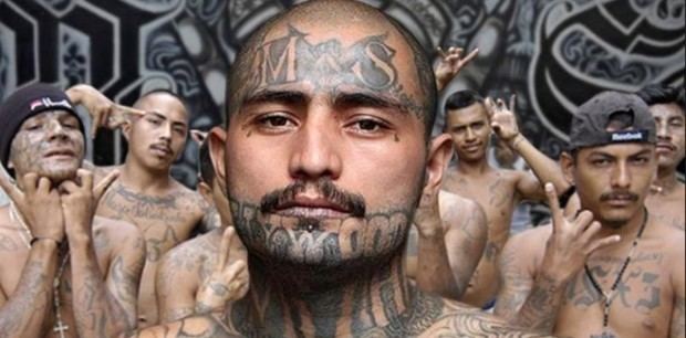 Al sur del estado de California se encuentra Los Ángeles, la segunda ciudad más poblada de Estados Unidos, donde nació la pandilla Mara Salvatrucha, MS13, en la década de los 80 conformada inicialmente con refugiados que habían escapado de las guerras civiles en El Salvador, Guatemala, y Nicaragua. Esta banda cuyos miembros incursionan en el narcotráfico y sicariato, con una virulencia que ha puesto en alerta a la policía a nivel continental.