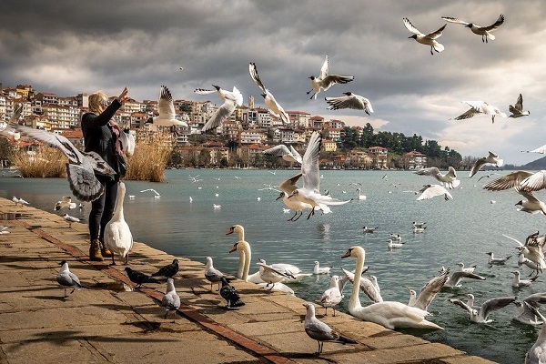 Turismo de aves