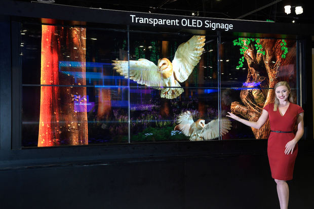 Transparent OLED signage