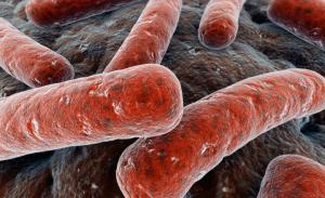 La OMS y la OPS buscan líderes para acabar con la tuberculosis en América