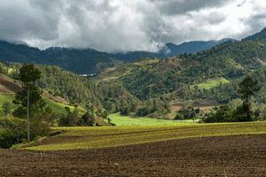 Constanceros miran hacia el turismo para diversificar la agricultura