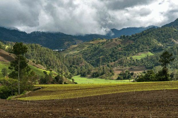 Valle de Constanza.