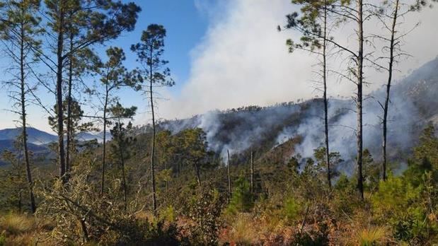 Los equipos de extinción lograron controlar el incendio forestal que afecta al Parque Nacional Valle Nuevo.