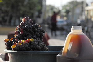 Gobierno apoyará productores de vino Neyba