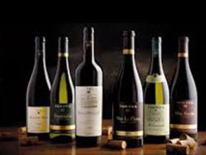 Familia Torres, la marca de vinos más admirada del mundo