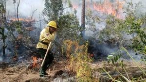 Bomberos forestales sofocan otros once incendios en distintos puntos del país
 