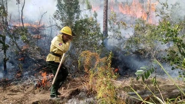 Bomberos forestales sofocan otros once incendios en distintos puntos del país.
