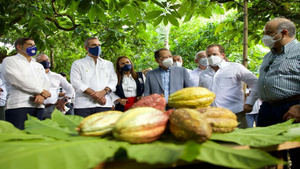 Gobierno dispone facilidades de financiamiento para 300 mil tareas de cacao y línea crédito por RD$800 MM
