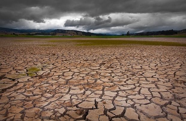 Las especies están siendo expulsadas de los trópicos por el cambio climático.