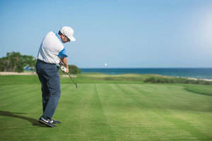 Presidente de Target asegura alta rentabilidad del golf