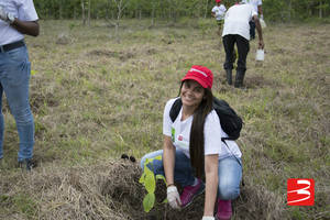 Empleados de Bancamérica realizaron jornada de reforestación 