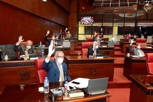 Senado aprueba resolución prórroga por 17 días más estado de emergencia 