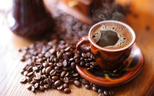 Indocafé realizará Taller sobre el Síndrome del Grano Negro del Café