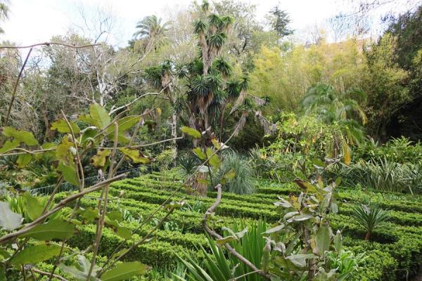 Vista del Jardín Botánico de Lisboa, Monumento Nacional y uno de los espacios más visitados del país. 