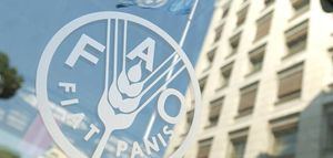 FAO: los precios de los alimentos podrían caer más en 2019 por débil demanda 