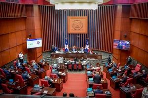 Senado aprueba en primera lectura la creación de la Dirección Nacional de Inteligencia (DNI)