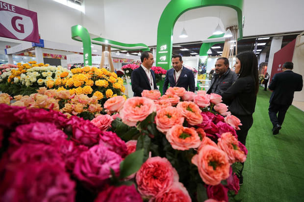 Ecuador destaca las mejoras económicas y el alza del 11 % en las exportaciones en el primer semestre.