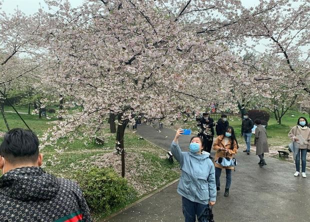 Varias personas disfrutan del festival de los cerezos en flor en el Jardín de los cerezos del Lago del este de Wuhan, China. Un año después del primer confinamiento mundial por la covid.
