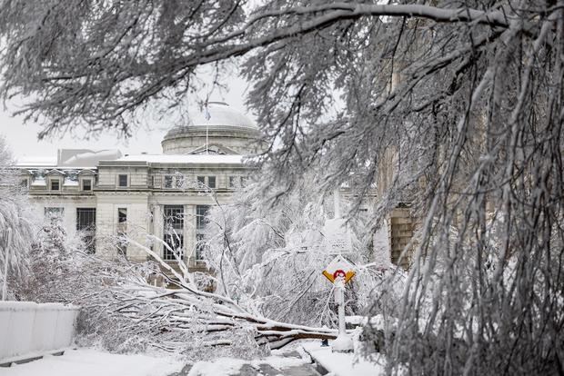Los árboles caídos cubren la calle fuera del Servicio de Impuestos Internos durante una tormenta de nieve en Washington.