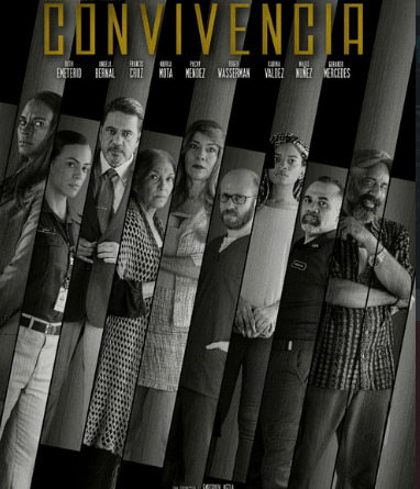 Afiche de la película. 
