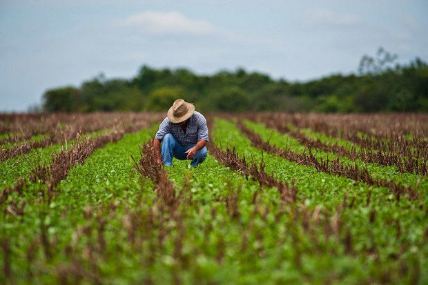 Economía verde.