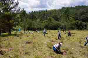 Voluntariado Popular del Banco Popular reforesta junto a periodistas y comunicadores de la Zona Norte