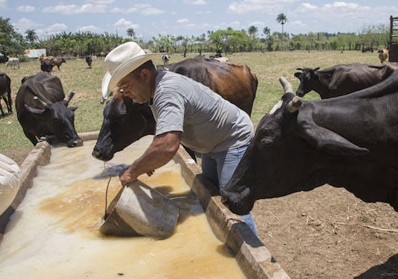 Feria Agropecuaria Nacional se celebrará del 22 al 31 de marzo