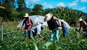 La agricultura familiar debe realizar una transformación para enfrentar el cambio climático