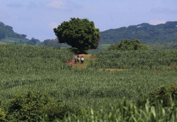 Migración rural