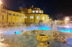 Budapest, histórica capital mundial de las aguas termales