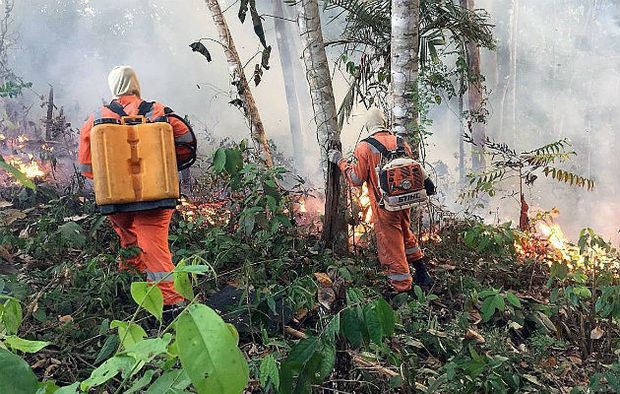 Bomberos internos en la selva amazónica intentando apagar el fuego.