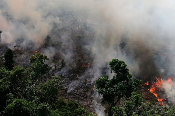 El grave incendio que arrasa a la Amazonía de Brasil, que ha llevado su humareda a Perú, avivó el temor mundial por la devastación medioambiental.