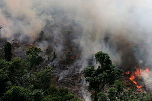 El mundo exige salvar la Amazonía, "pulmón del planeta" asfixiado en llamas