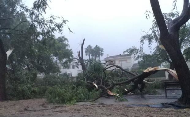 Las lluvias afectan varias viviendas y mantienen 18 provincias en alerta.