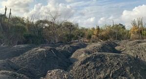 Medio Ambiente declara la provincia Peravia en 