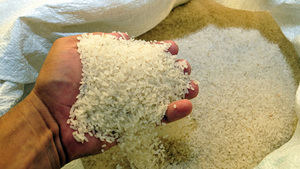 Garantizan demanda nacional de arroz