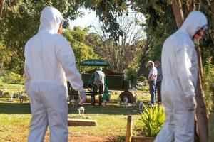 Los casos de coronavirus a nivel mundial rozan los 39,6 millones